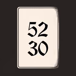 5230 V4N1TY