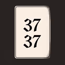 3737 V4N1TY