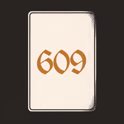 609 V4N1TY