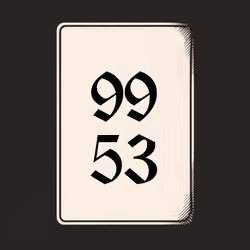 9953 V4N1TY