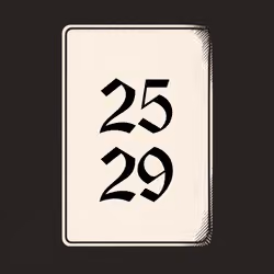 2529 V4N1TY
