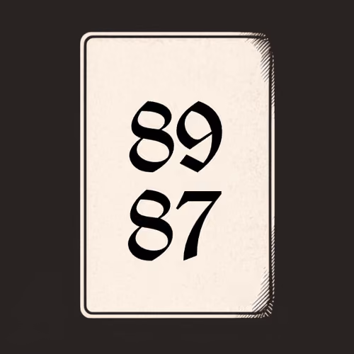 8987 V4N1TY