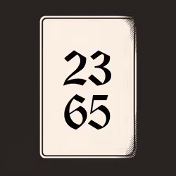 2365 V4N1TY
