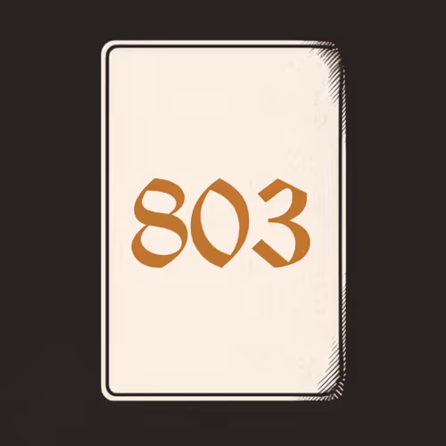803 V4N1TY