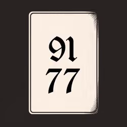 9177 V4N1TY