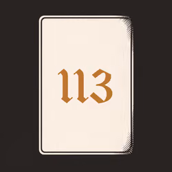 113 V4N1TY
