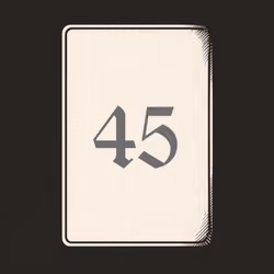 45 V4N1TY