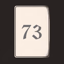 73 V4N1TY