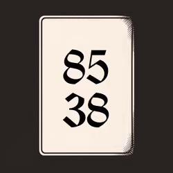 8538 V4N1TY