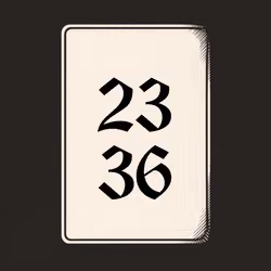 2336 V4N1TY