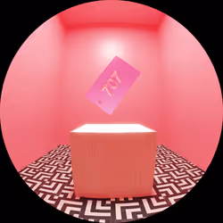 The VIPrivacy Key #237