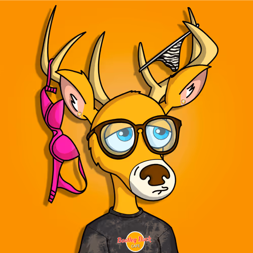 Item #340282366920938463463374607431768211514 Media