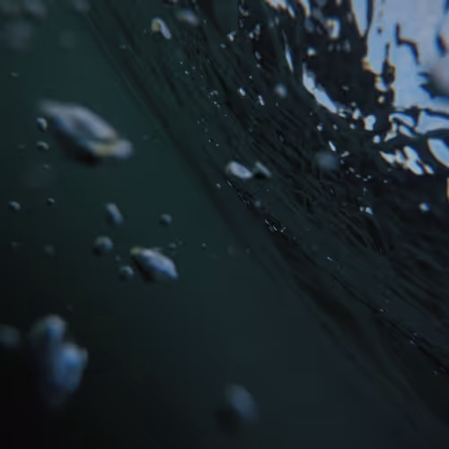 submerge #04