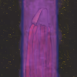 Creators of the End #79