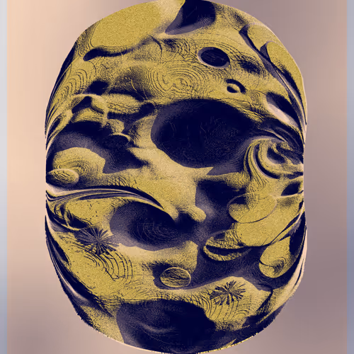 Petrography Case By Orr Kislev