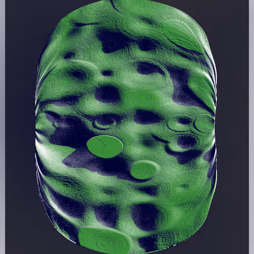 Petrography Case By Orr Kislev