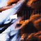 17000033