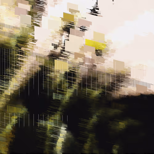 Item #17000092 Media