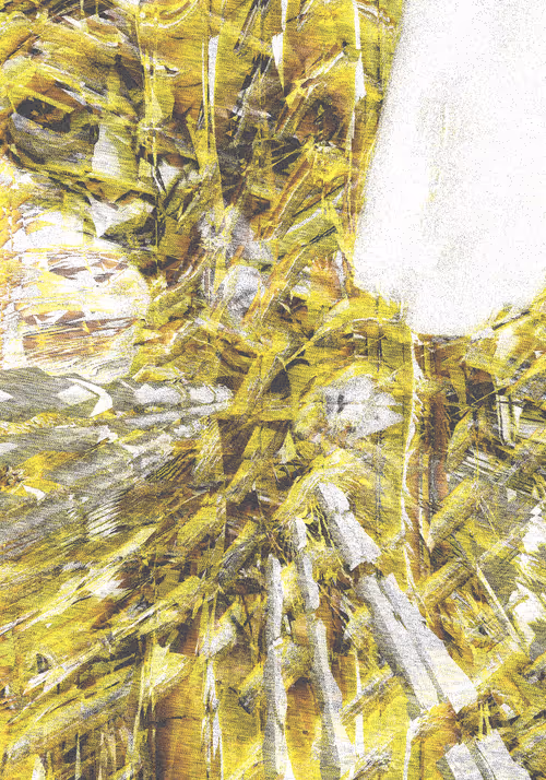 Item #12000038 Media