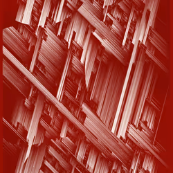 Linea Recta #13