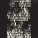 15000080