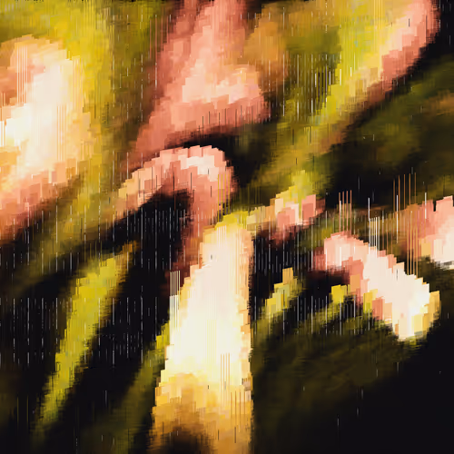 Transition #91