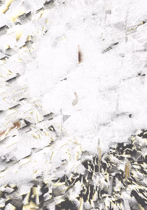 Item #12000028 Media