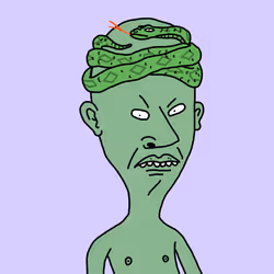 43