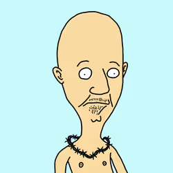 5243