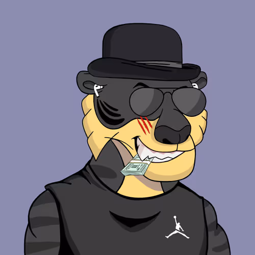 Tycoontigersclub