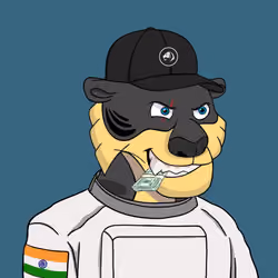 Tycoon Tiger #517