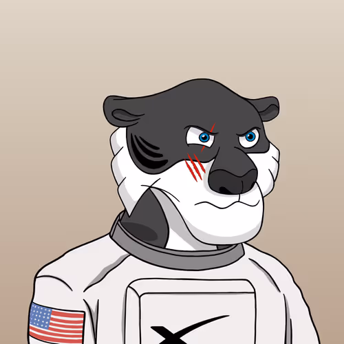 Tycoontigersclub
