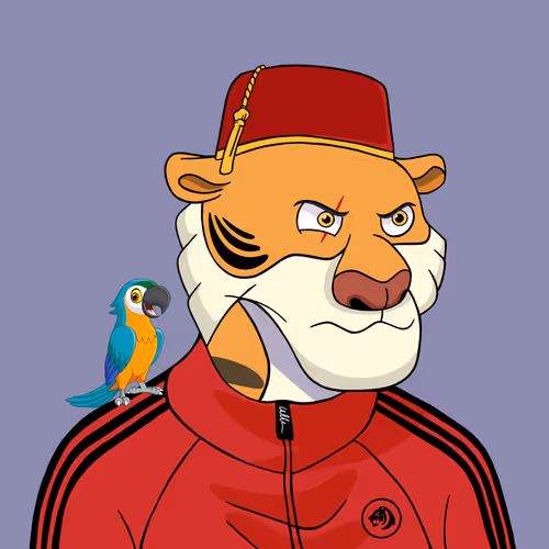 Tycoontigersclub