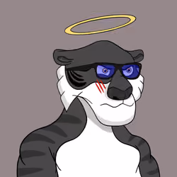 Tycoon Tiger #2454