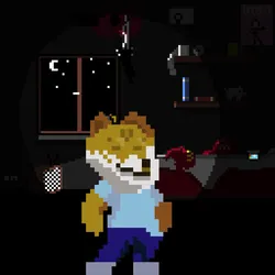 803
