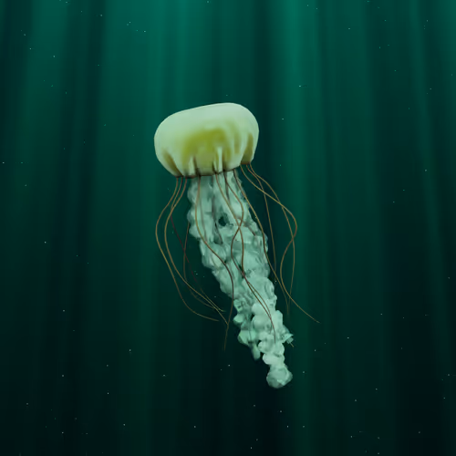 Aquarium De Paris