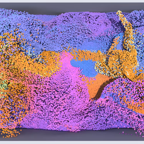 FLUID PARTICLE DESIGN TWO  #2/3