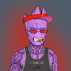 Grok # 0