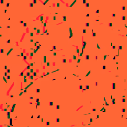 244