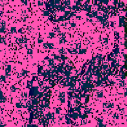 292