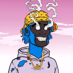 29