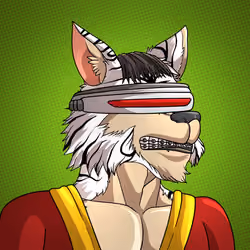 Wolf#225