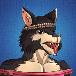 Wolf#516