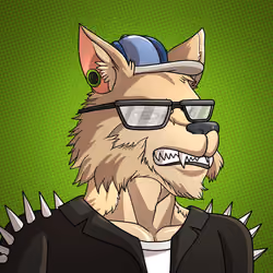 Wolf#1595