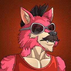 Wolf#1240