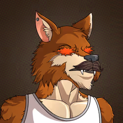 Wolf#1603