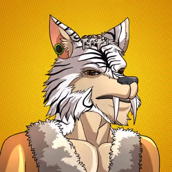 Wolf#1382