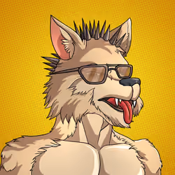 Wolf#1241