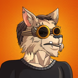 Wolf#485