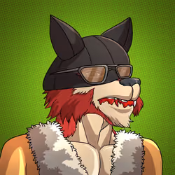 Wolf#355